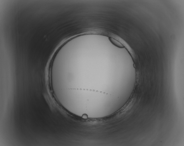 X0000101181099200806270821