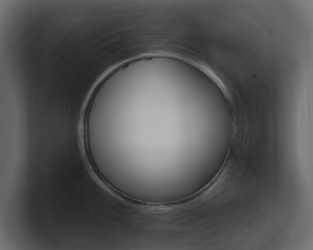 X0000101181100200806270821