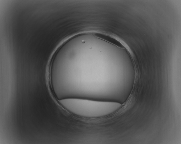 X0000101181101200806270821