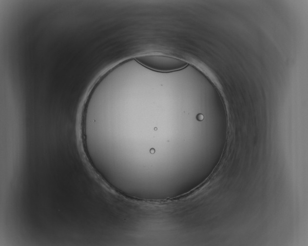 X0000101181104200806270821