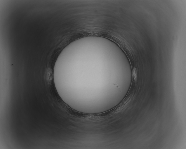 X0000101181107200806270821