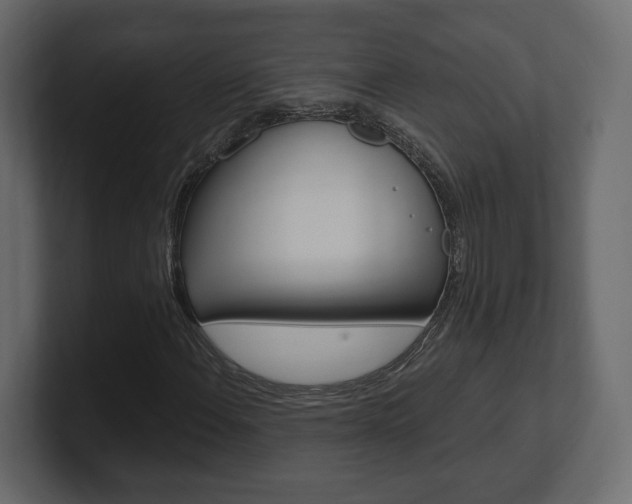 X0000101181108200806270821