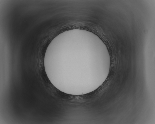 X0000101181109200806270821