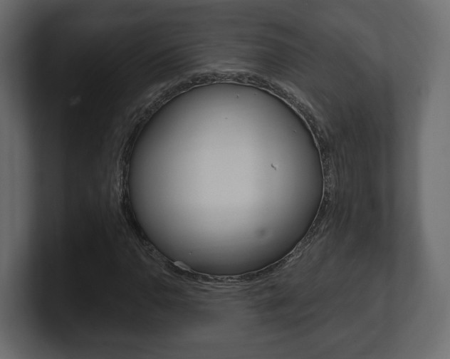 X0000101181110200806270821