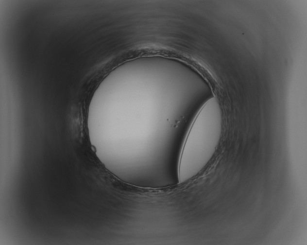 X0000101181111200806270821