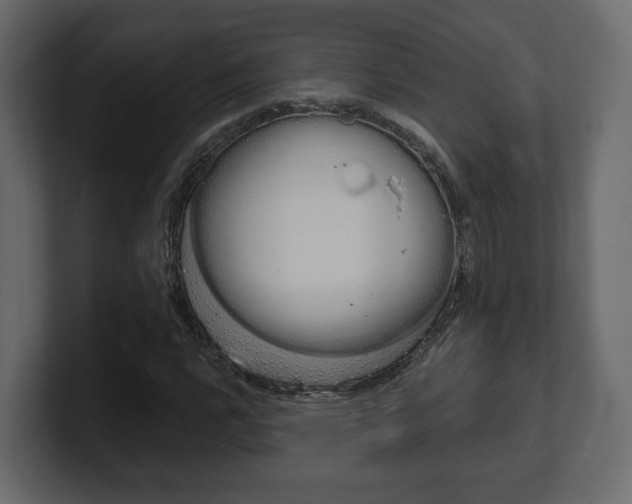 X0000101181112200806270821
