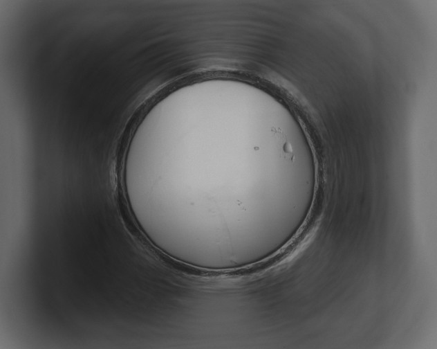 X0000101181113200806270821