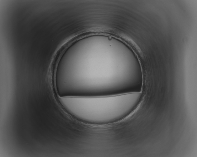 X0000101181114200806270821
