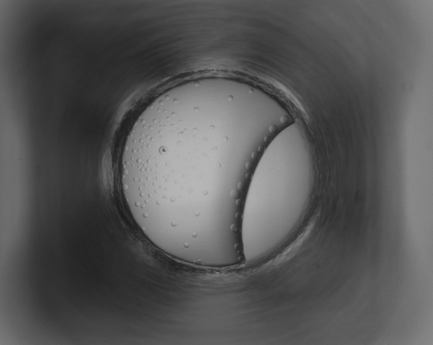 X0000101181117200806270821