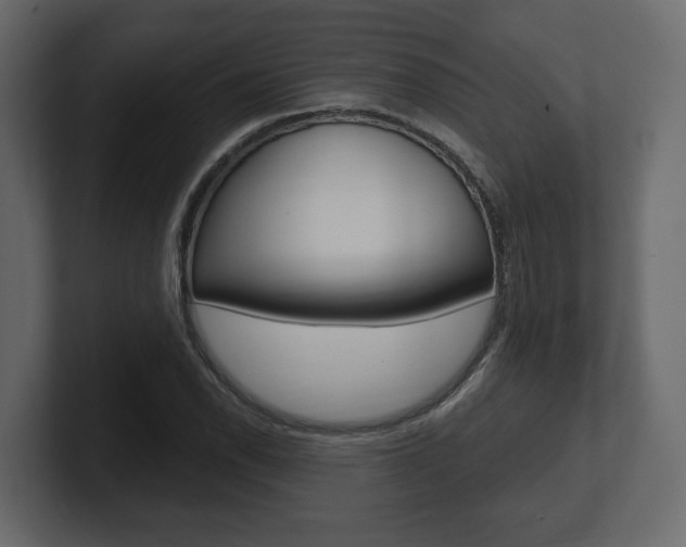 X0000101181118200806270821