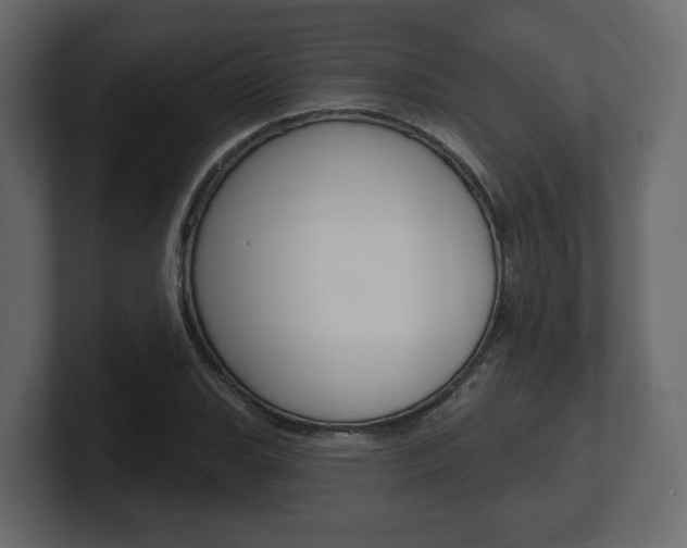 X0000101181119200806270821