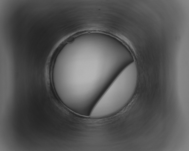 X0000101181120200806270821