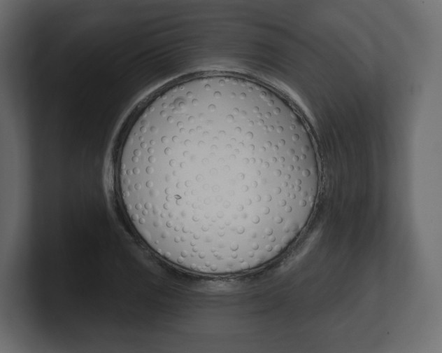X0000101181125200806270821