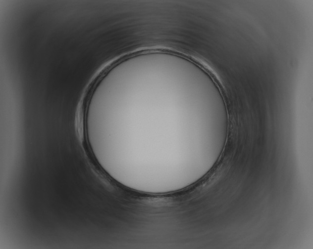 X0000101181127200806270821