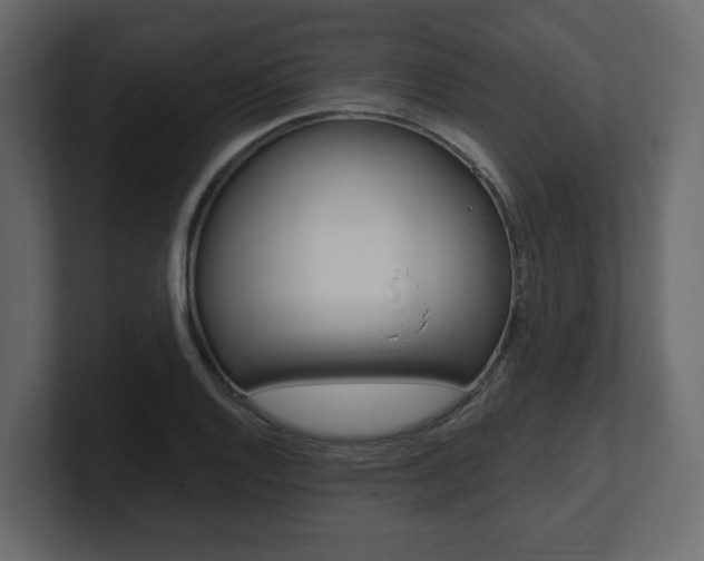 X0000101181128200806270821