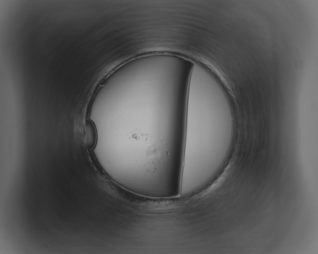X0000101181129200806270821