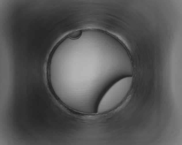 X0000101181134200806270821