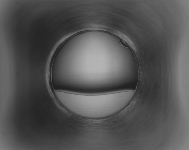 X0000101181136200806270821
