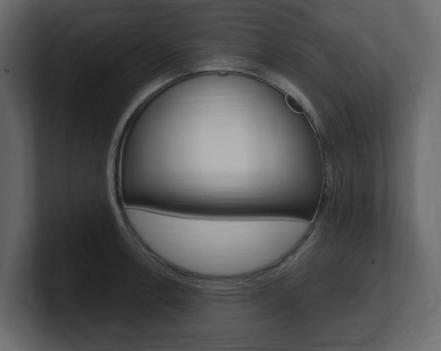 X0000101181138200806270821