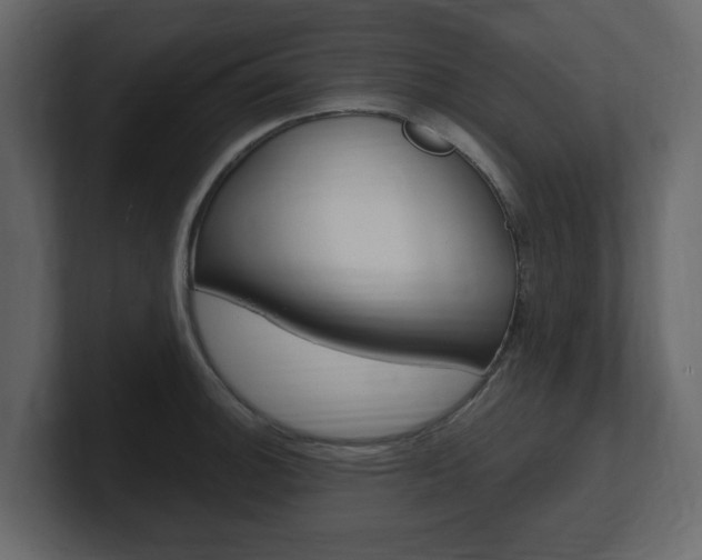 X0000101181140200806270821