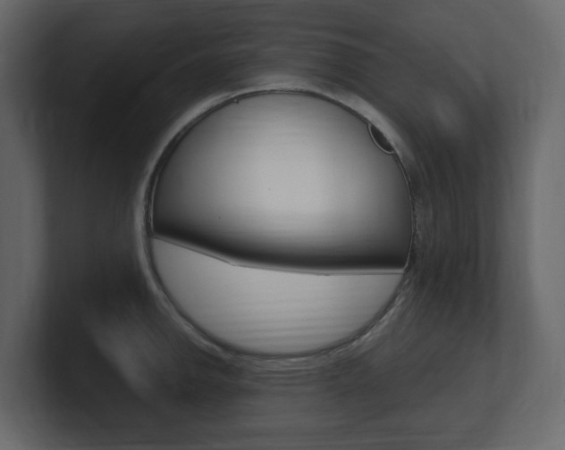 X0000101181142200806270821