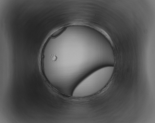 X0000101181146200806270821