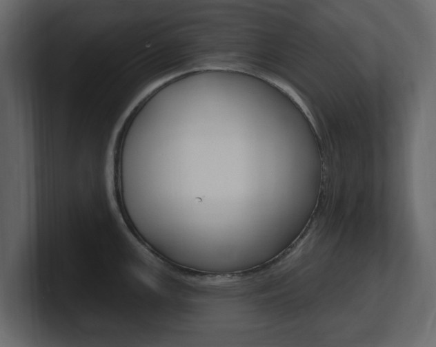 X0000101181147200806270821