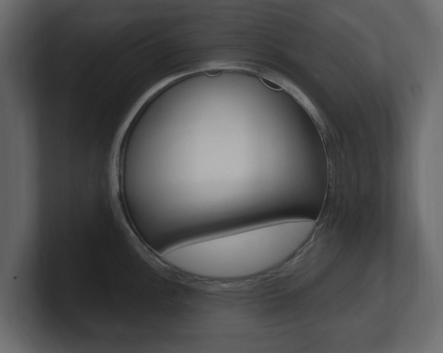 X0000101181148200806270821