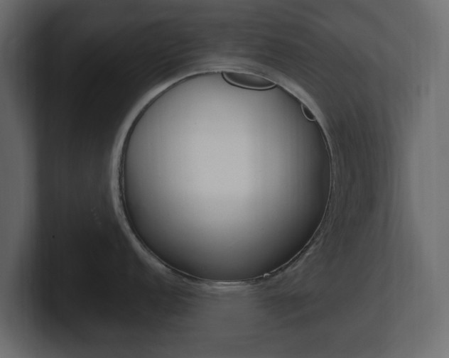 X0000101181152200806270821