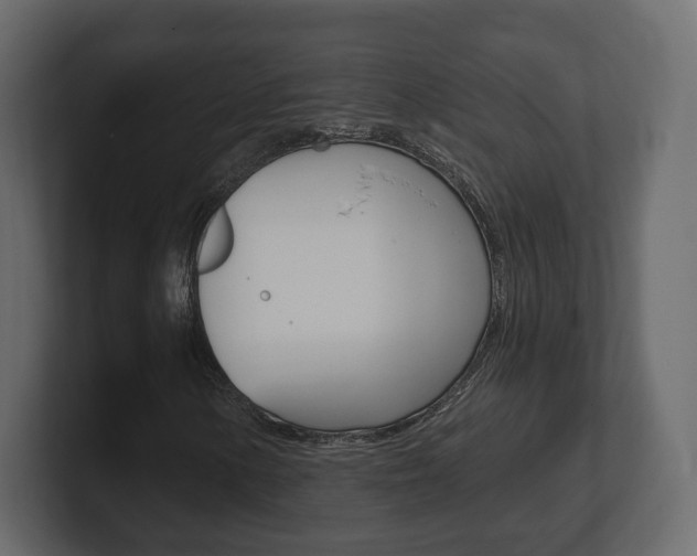 X0000101181154200806270821