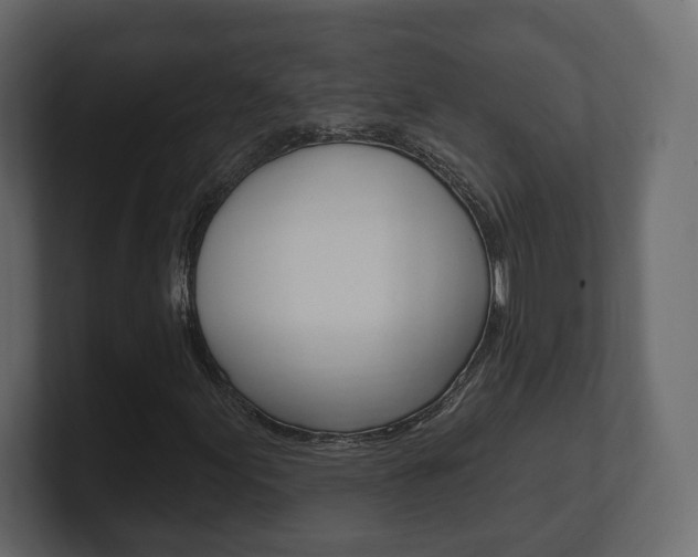 X0000101181155200806270821