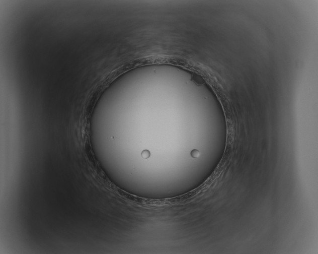 X0000101181157200806270821