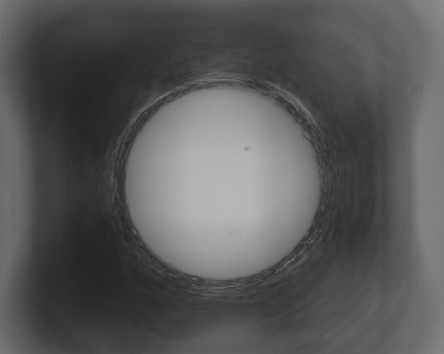 X0000101181160200806270821