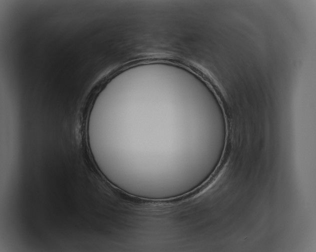 X0000101181163200806270821
