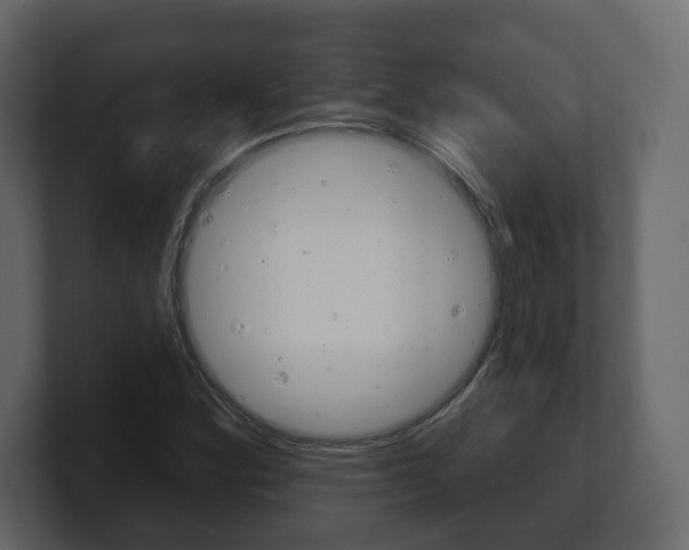 X0000101181164200806270821
