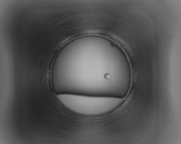 X0000101181169200806270820