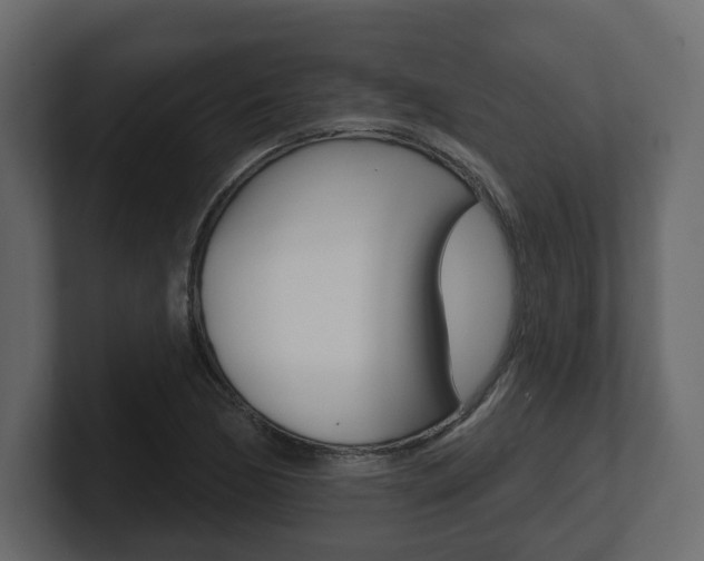 X0000101181170200806270820