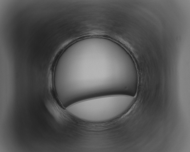 X0000101181171200806270820