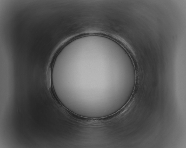 X0000101181175200806270820