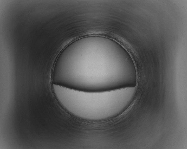 X0000101181177200806270820