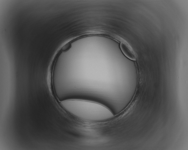 X0000101181179200806270820