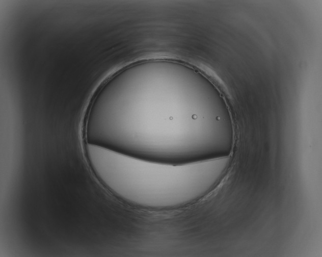 X0000101181181200806270820