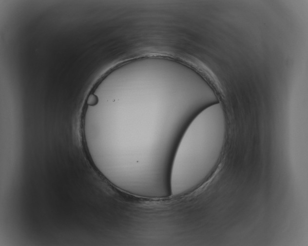 X0000101181182200806270820
