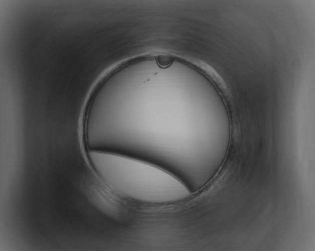 X0000101181183200806270820