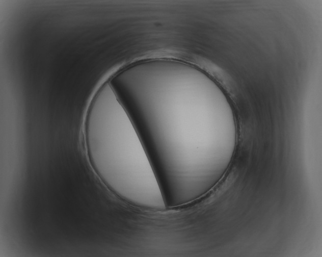 X0000101181184200806270820