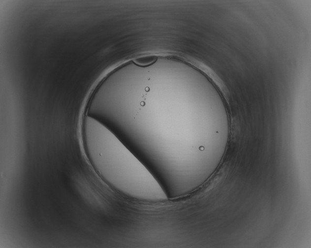 X0000101181187200806270820