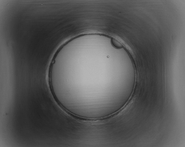 X0000101181189200806270820