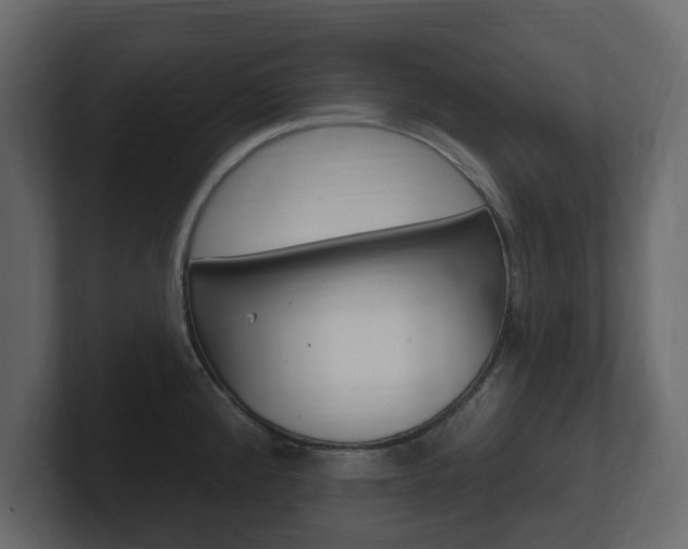X0000101181192200806270820