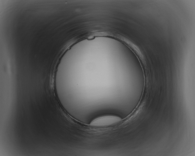 X0000101181193200806270820