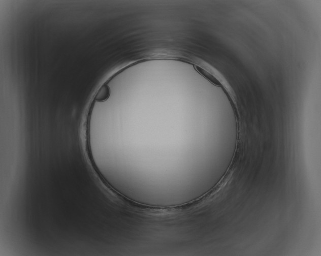 X0000101181195200806270820